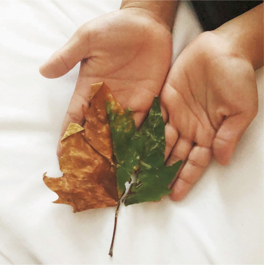 梨花「わたしのユリイカ」より（C）SDP