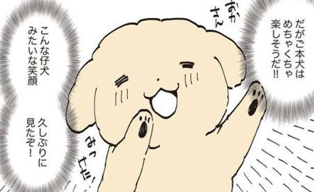 漫画 難易度ゆるっゆる かくれんぼで仔犬のように喜ぶクーさん うちのトイプーがアイドルすぎる 9 モデルプレス