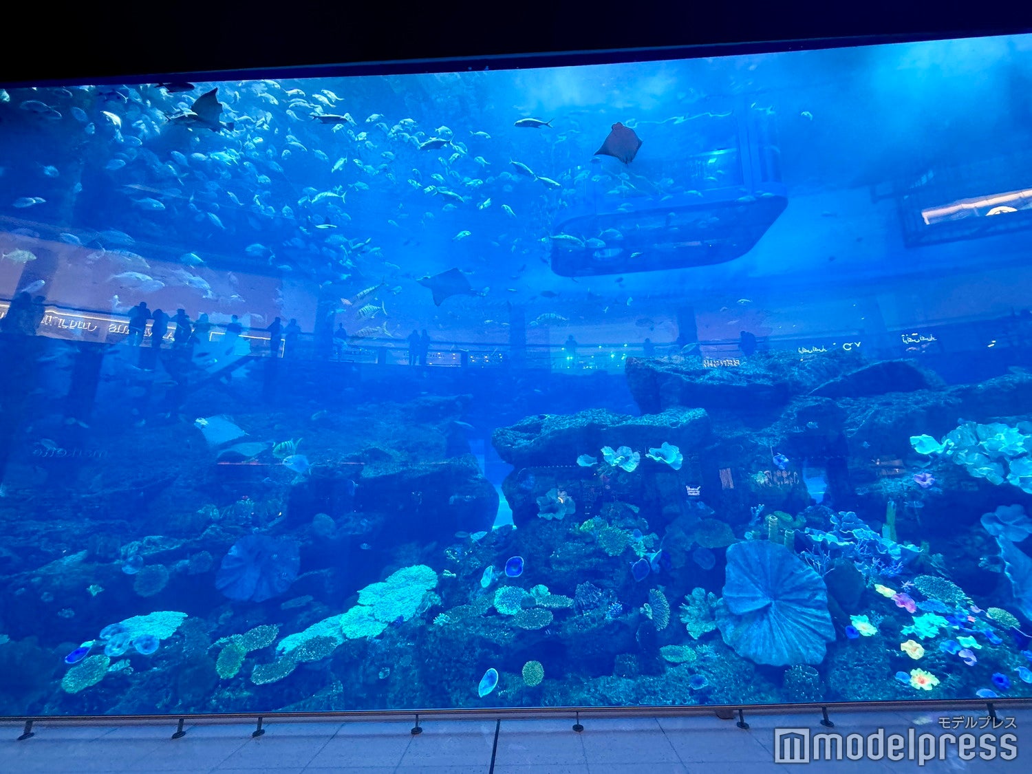 ドバイ・モール（C）モデルプレス