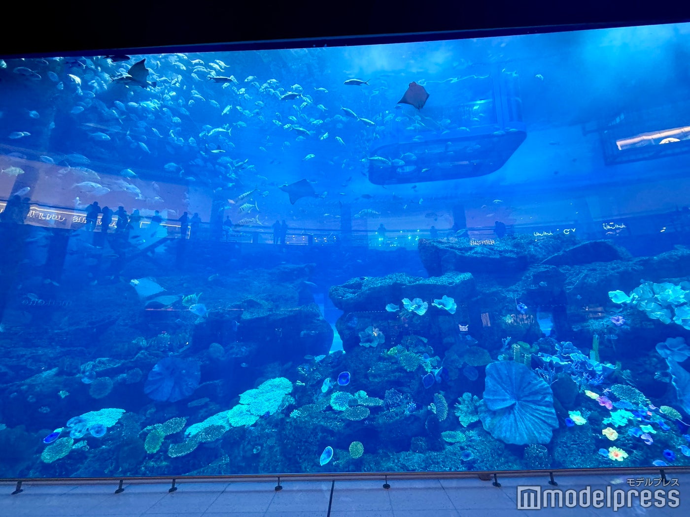 ドバイ・モール(C)モデルプレス