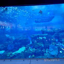 ドバイ・モール(C)モデルプレス