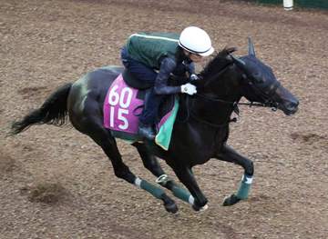 【ローズS】モンローウォーク 秋の主役へアピール抜群 軽快な脚取りに余裕たっぷり 上村師「持っている能力は相当」