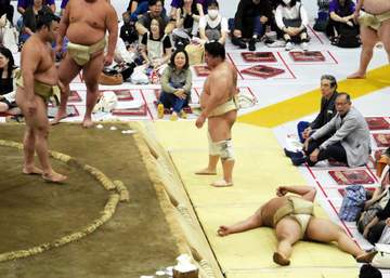 大相撲夏巡業で館内騒然！ぶつかり稽古で土俵から転げ落ちて大の字になり荒い呼吸、霧島「ピシッと終わりたかった」