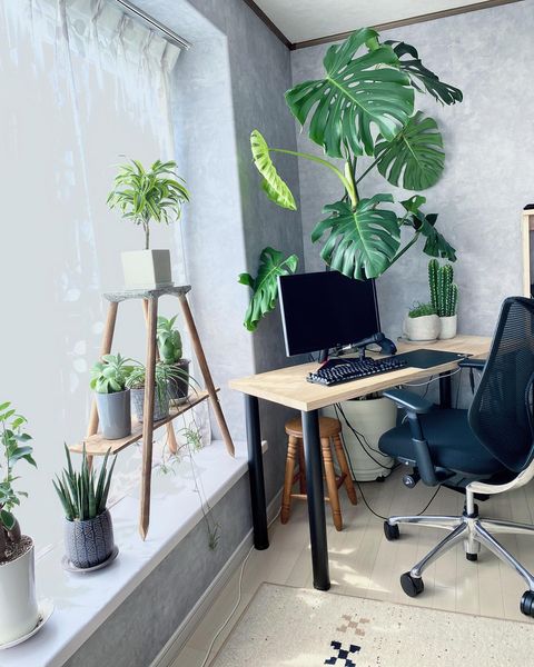 風水でみる運気が上がる書斎のレイアウトとは 方角やおすすめの色などをご紹介 モデルプレス