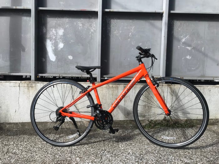 自転車(提供写真)