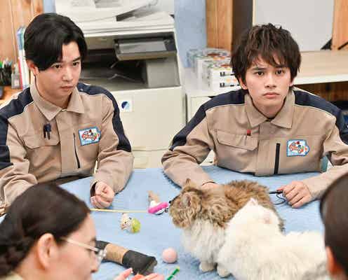 「星降る夜に」一星(北村匠海)&春(千葉雄大)の会話が明らかに「内容が可愛すぎる」「すごい楽しそう」と反響
