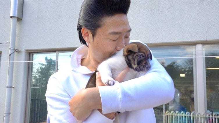 【みやぞん】野犬が家族に！かわいすぎて〇〇が止まらない！？【メロメロ】