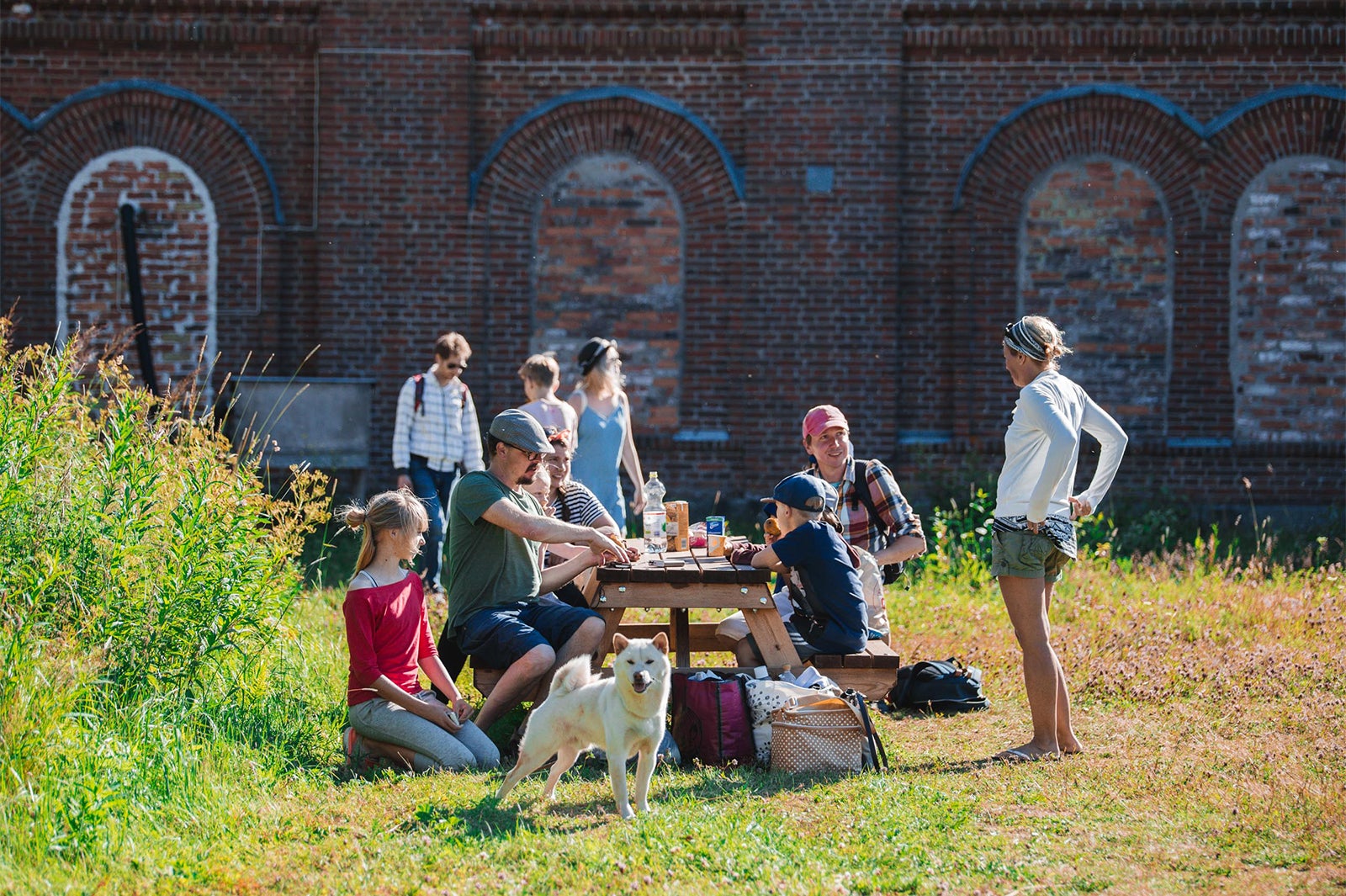 ロンナ島とヴァッリサーリ島の両島への上陸は夏期のみ／画像提供：Visit Finland