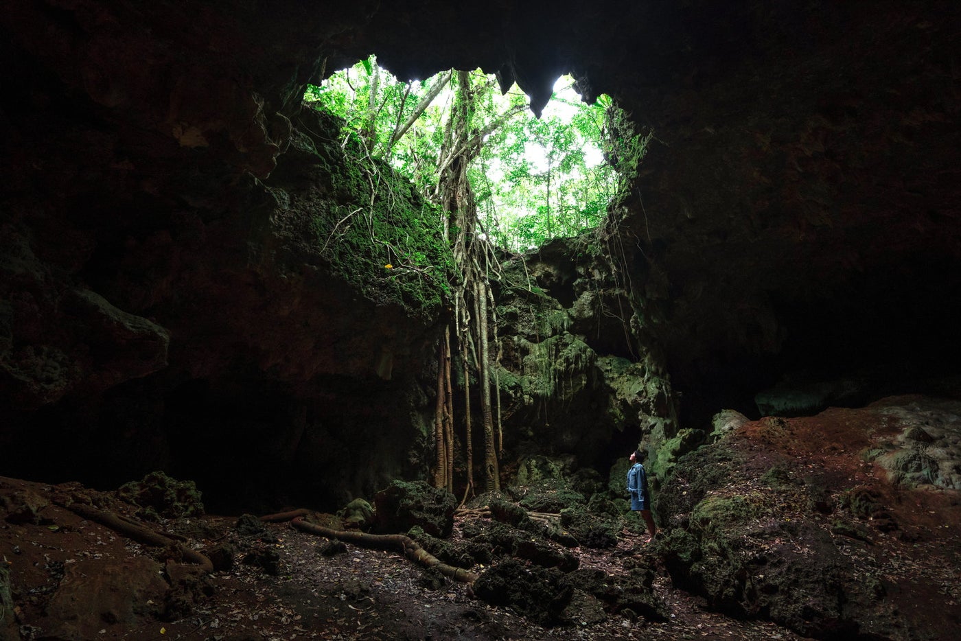 明かりが差し込む神秘的なウエムワニ洞窟（C）Meng Xi NCT