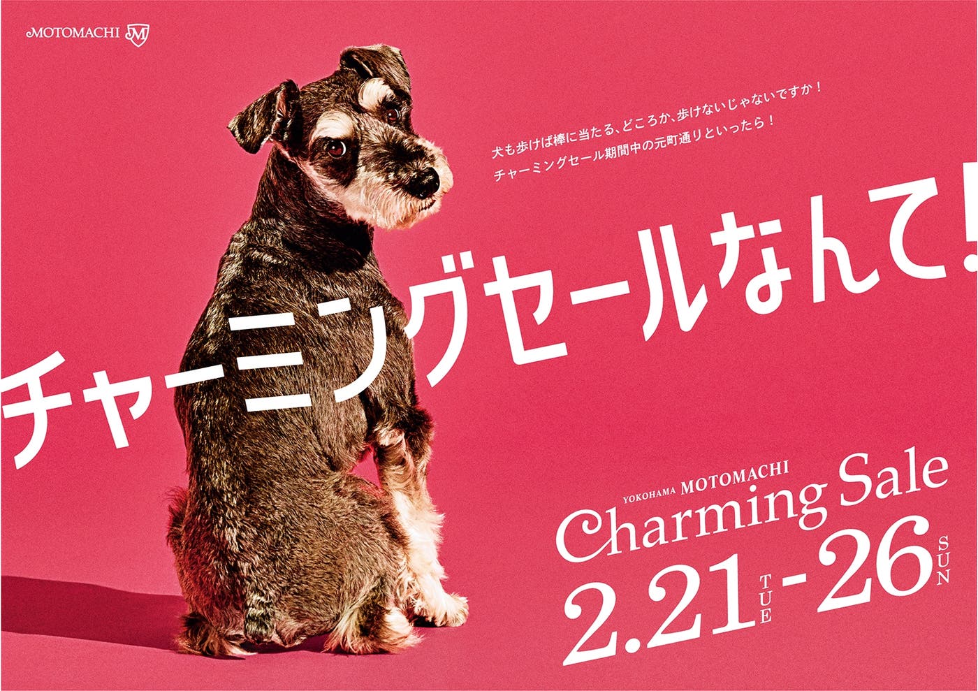 ふてくされている犬の表情にも注目(画像提供:元町SS会)
