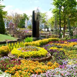 ハーブ庭園旅日記 勝沼庭園/提供画像