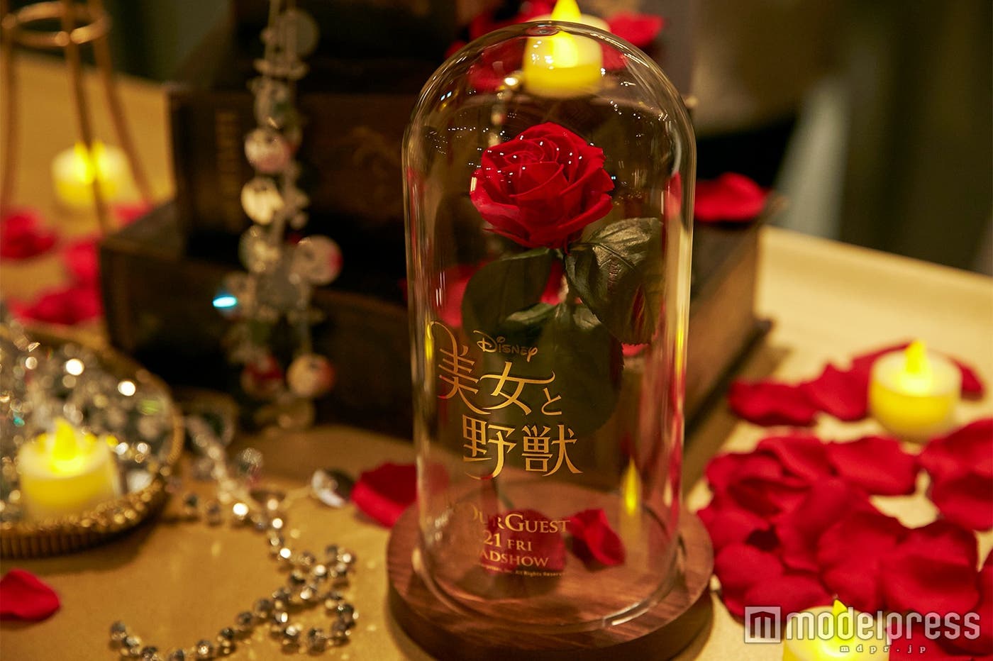 真っ赤なバラは『美女と野獣』の象徴/会場の様子(C)モデルプレス