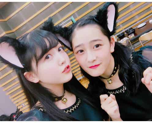 乃木坂46久保史緒里&向井葉月の“双子黒猫コス”が天使級の可愛さ