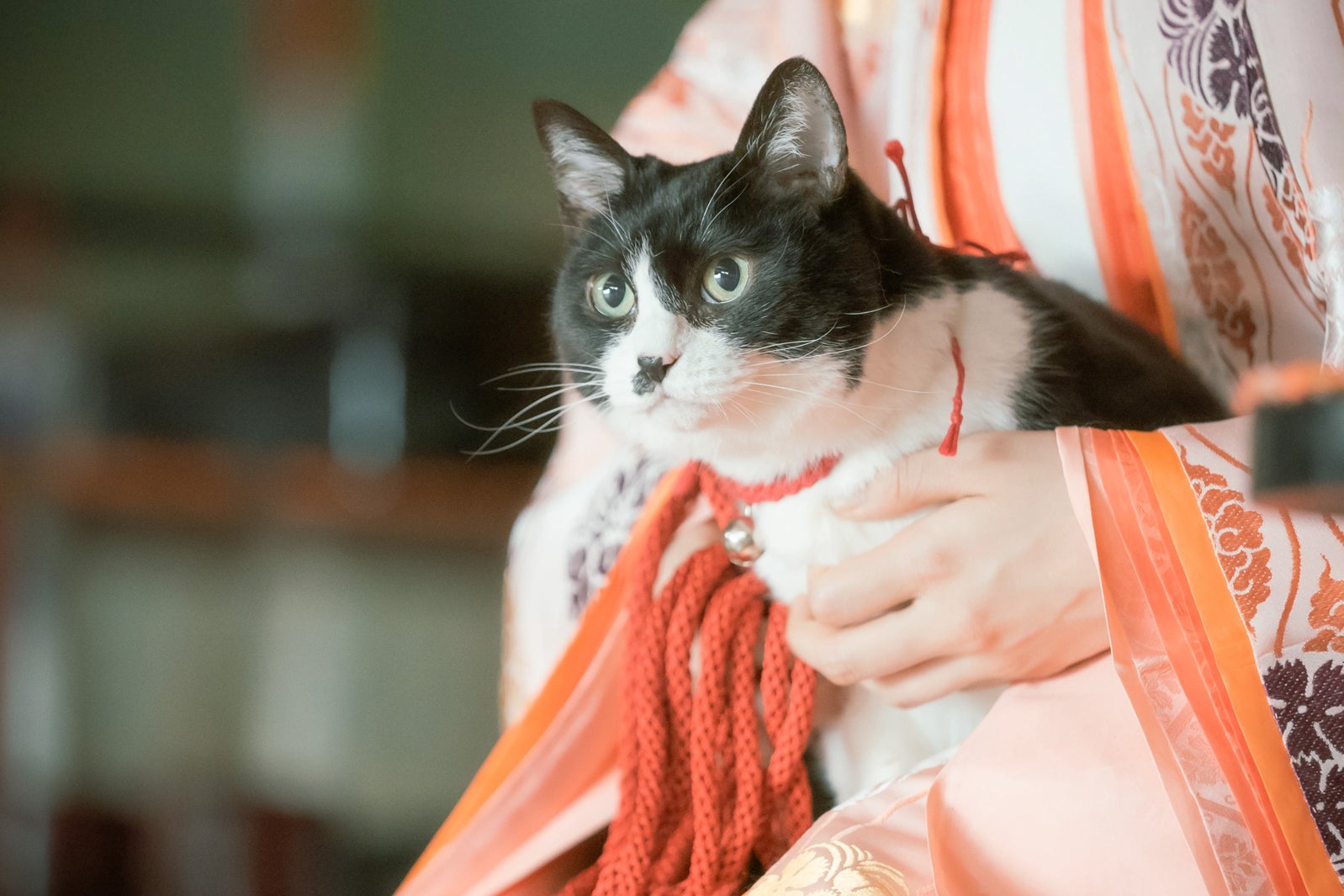 「光る君へ」第27話（C）NHK