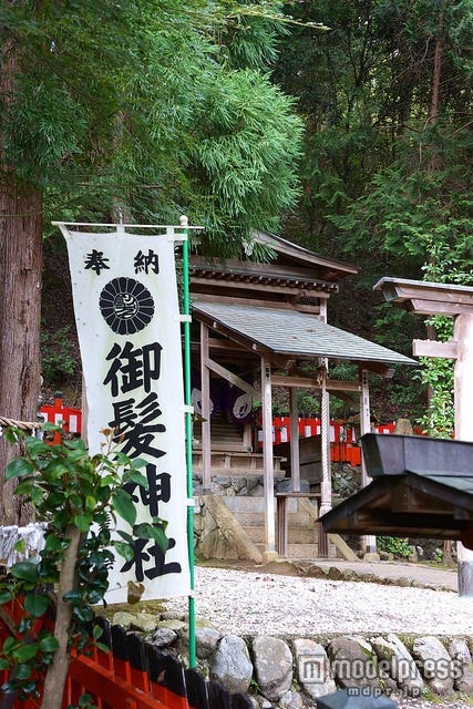髪トラブルに効果あり？日本で唯一の京都“美髪”神社