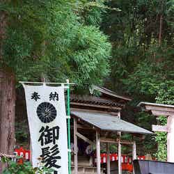 髪トラブルに効果あり?日本で唯一の京都“美髪”神社