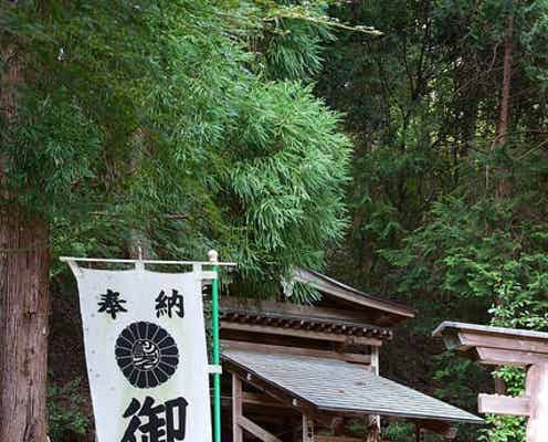 髪トラブルに効果あり?日本で唯一の京都“美髪”神社