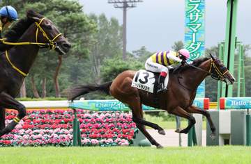 【新馬戦】ニシノトラノスケ 直線一気にデビューV 千葉師も期待「小さいけど潜在能力は兄に引けを取らない」半兄は昨年の京成杯覇者