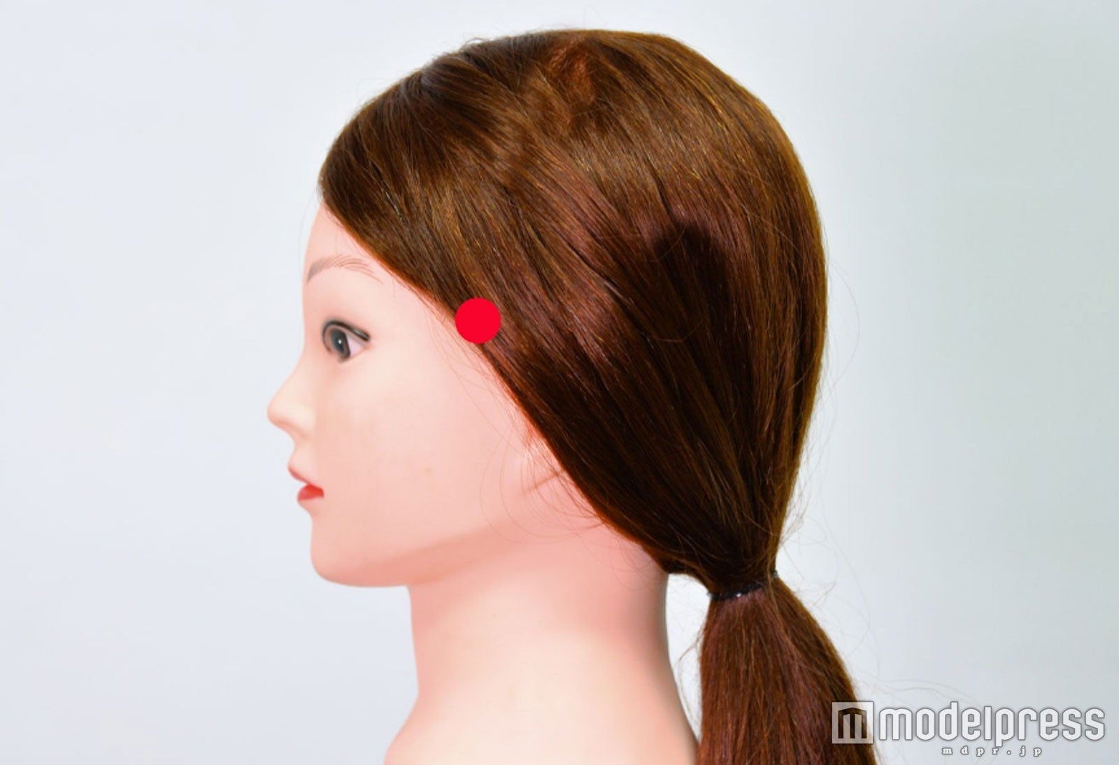 耳上から3cmほど前（C）モデルプレス
