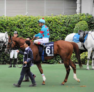 【香港ヴァーズ】アーバンシック 失速10着 武井師「前に壁をつくれなくて、いいリズムじゃなかったと思う」