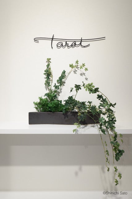 東京タロット美術館（提供画像）