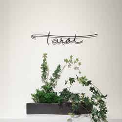 東京タロット美術館(提供画像)