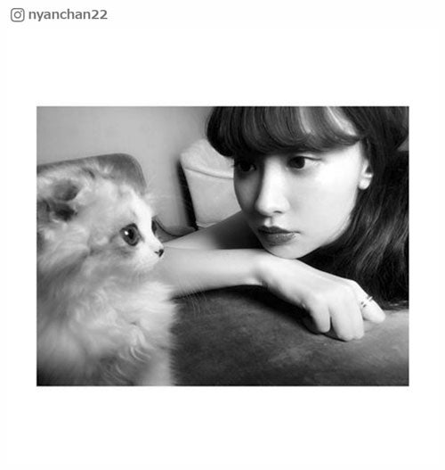 小嶋陽菜、愛猫“けむしちゃん”が雑誌出演「飼い主に似て美しい」「美の共演」と話題