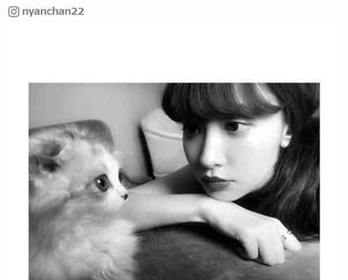 小嶋陽菜、愛猫“けむしちゃん”が雑誌出演「飼い主に似て美しい」「美の共演」と話題