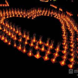 ハート型のキャンドル/Photo by ajari