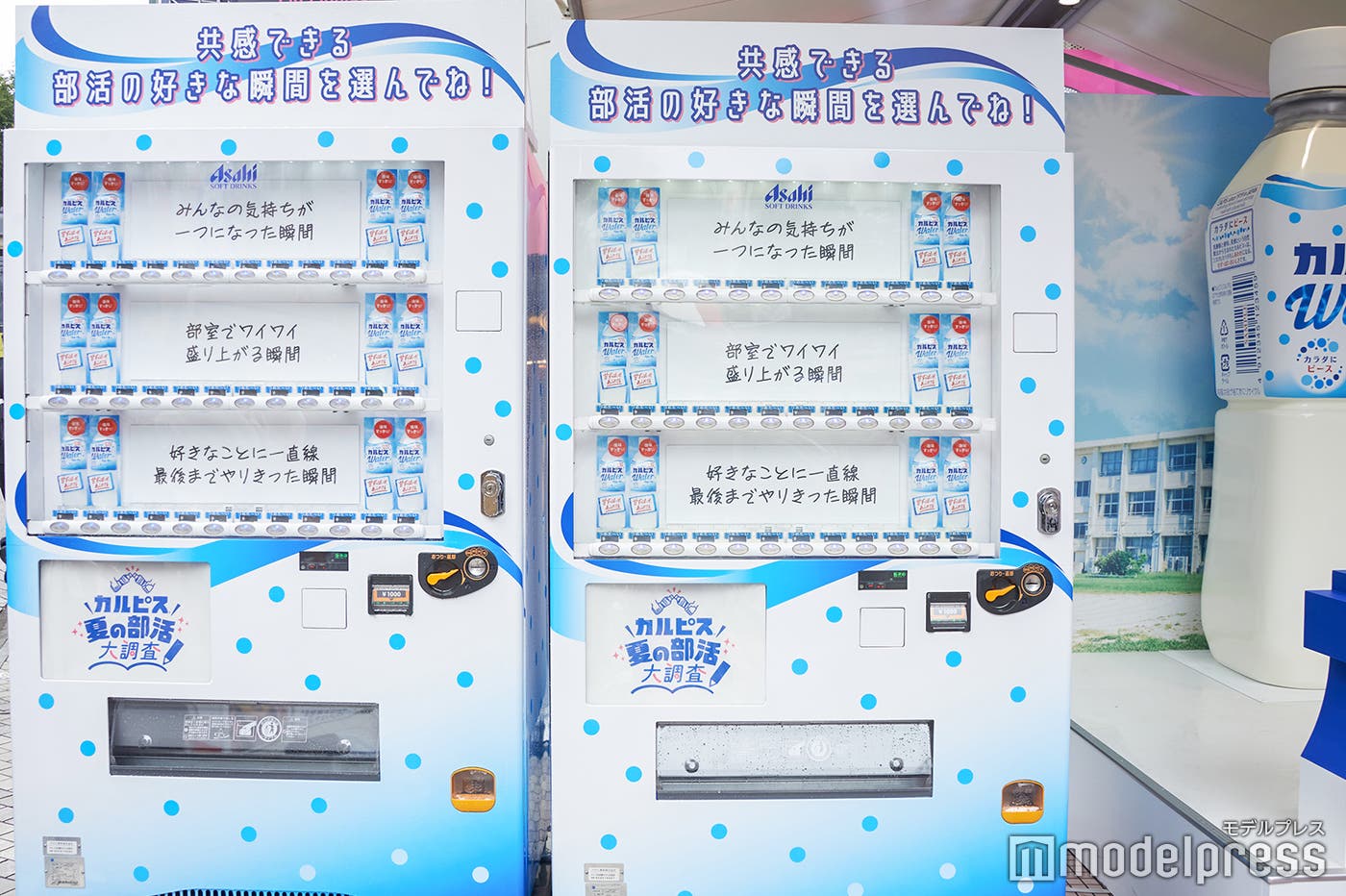 「スキ瞬投票自販機」(C)モデルプレス