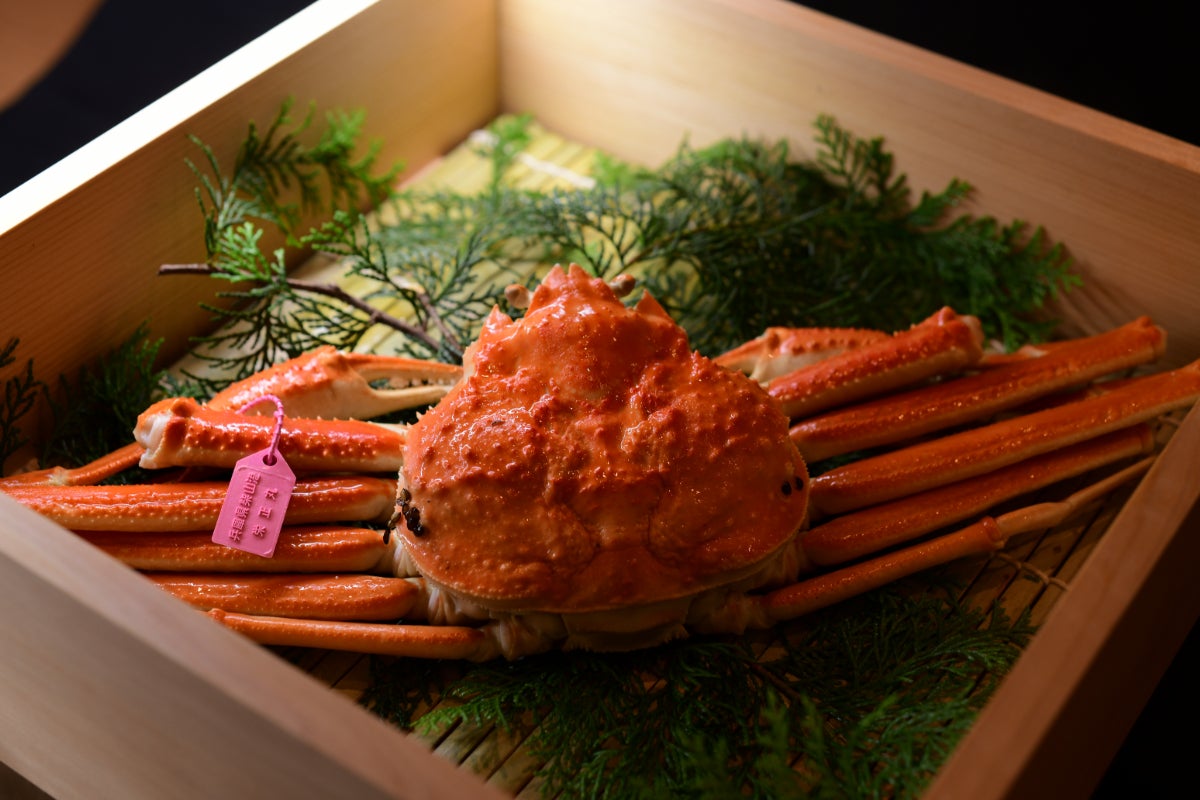 ICHIJO／画像提供：Saika