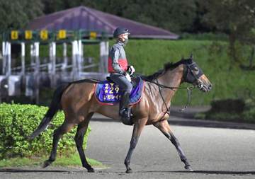 【オールカマー】レガレイラ 昨秋と同ローテで始動 4年連続G1Vへ 太田助手「状態、バランスも含めて上昇傾向」