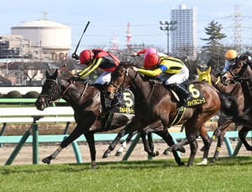 【東風S】ヴァルキリーバース 追い比べ首差で制してオープン初勝利 ルメール「よく頑張ったし、最後まで止まらなかった」