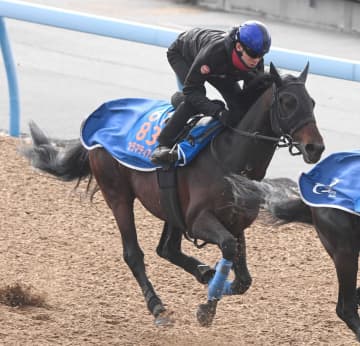 【中山記念】カラマティアノス 重賞連勝で実力証明だ 中山金杯で初V「馬は良くなっています」