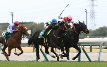 【愛知杯】アイサンサン初タイトル！橋田師が重賞初挑戦初V 歴代2位スピード記録！開業19日目 幸JRA重賞50勝達成