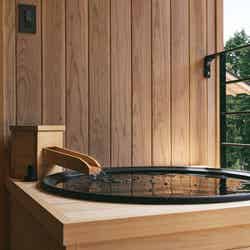 ジオスポット 元箱根(提供写真)