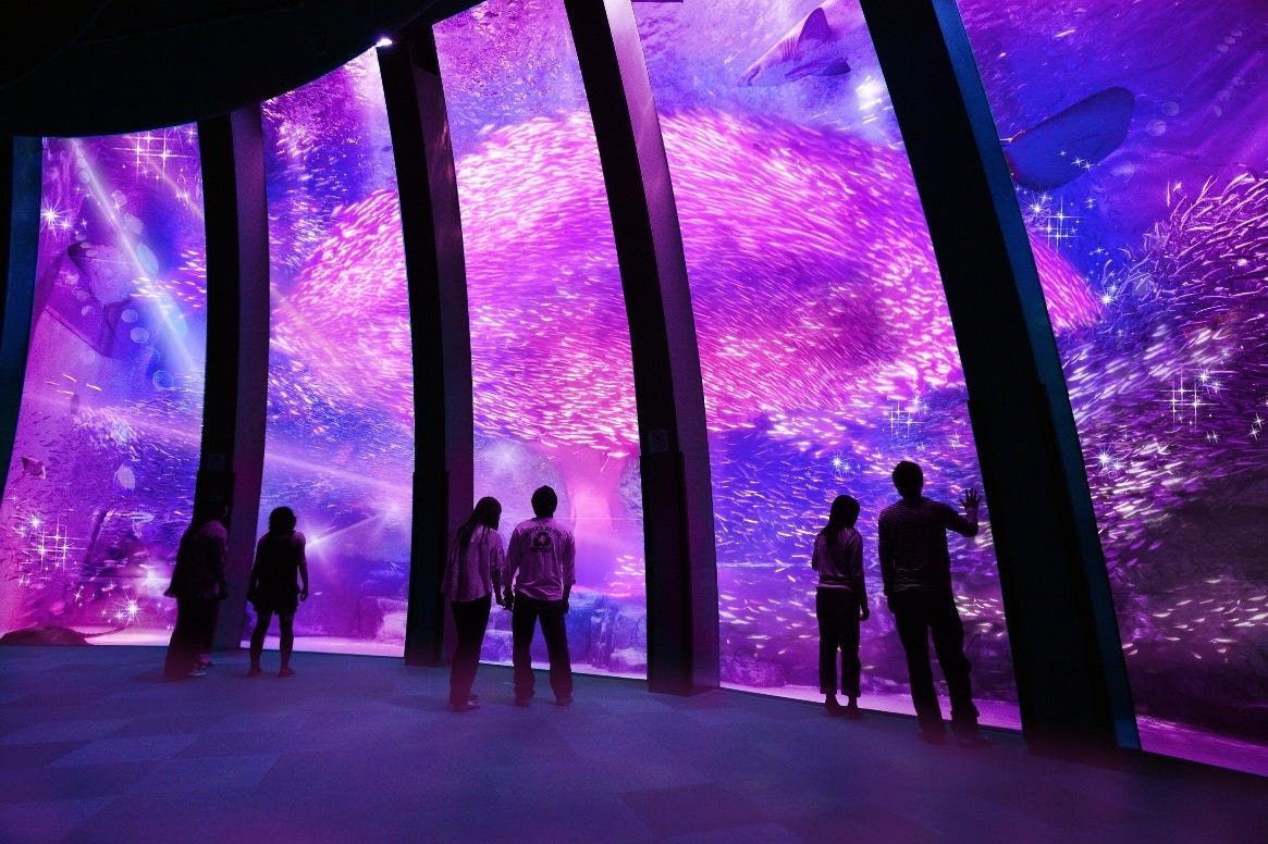 八景島シーパラダイスで「春の楽園」 大水槽に“満開の桜”&春爛漫な音×光のナイトショーも