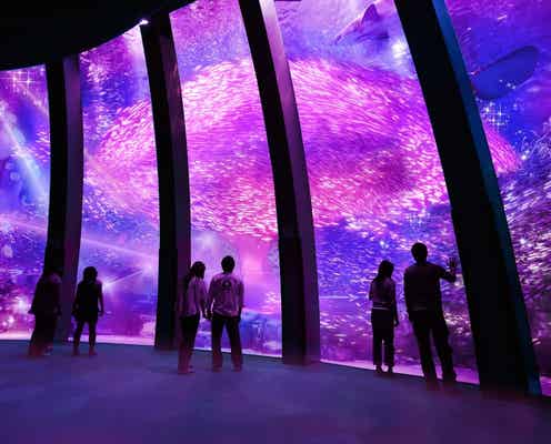 八景島シーパラダイスで「春の楽園」 大水槽に“満開の桜”&春爛漫な音×光のナイトショーも