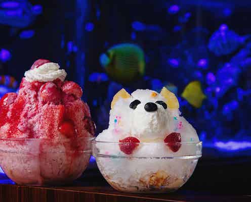 新宿「アクアリウムカフェ」オープン、かき氷&厚切りフレンチトースト提供