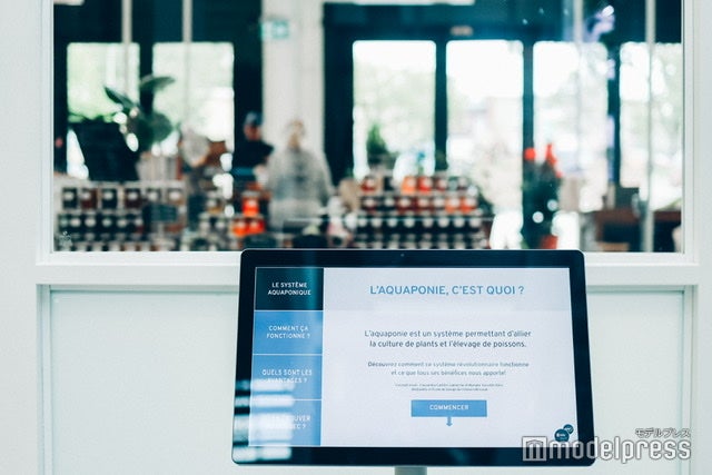 Le Grand Marche（C）モデルプレス