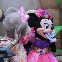 魔法の祭典「スプリングタイム・サプライズ」