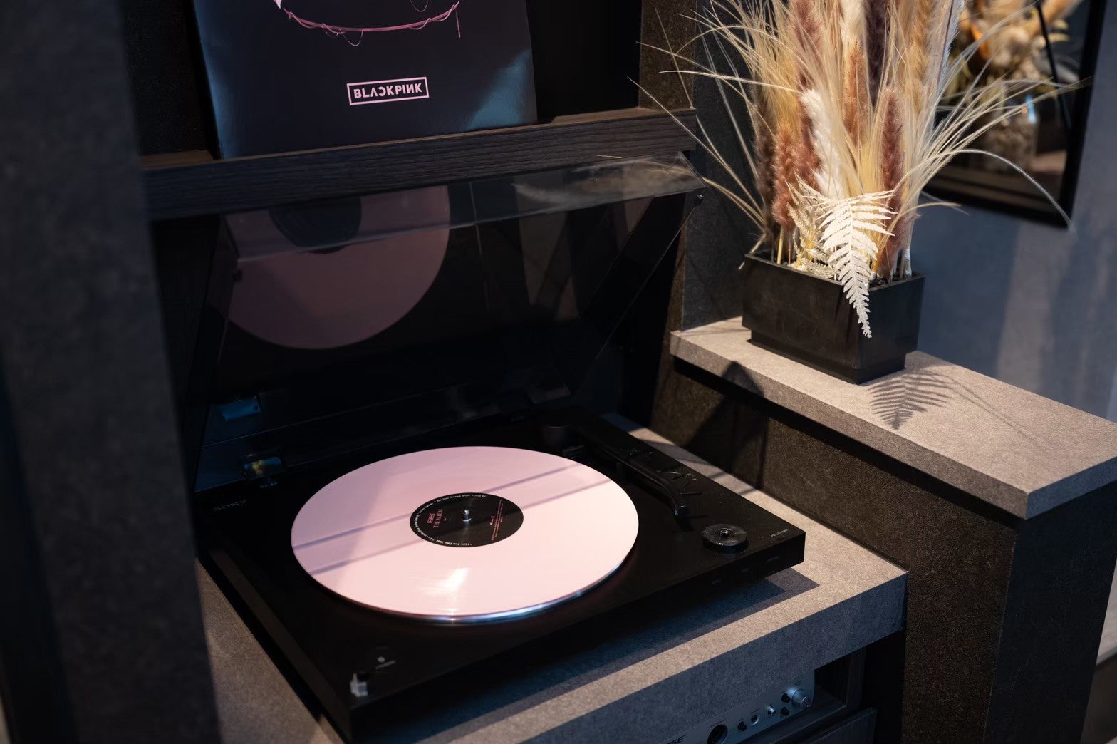 トライブオオゾネ／画像提供：REJ