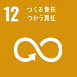 SDGs目標12（提供写真）