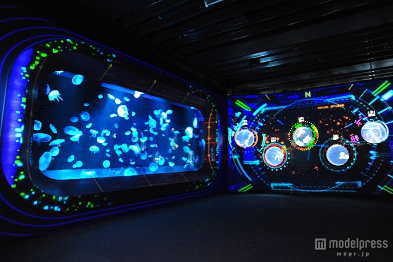 青い照明で、より幻想的な印象に