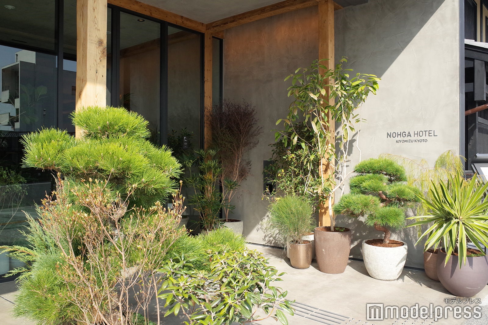 ノーガ ホテル 清水 京都（C）モデルプレス