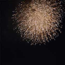 「スターブライトクリスマス」