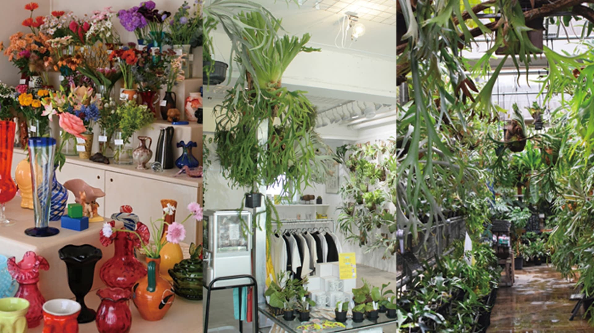 日頃の疲れを癒してくれる♡ 休日に立ち寄りたい【植物スポット】3選