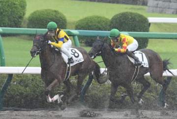 【新馬戦】エンジャムメント 人気応えて初陣飾る 北村友が心身の成長に期待「まだ上積みありそう」