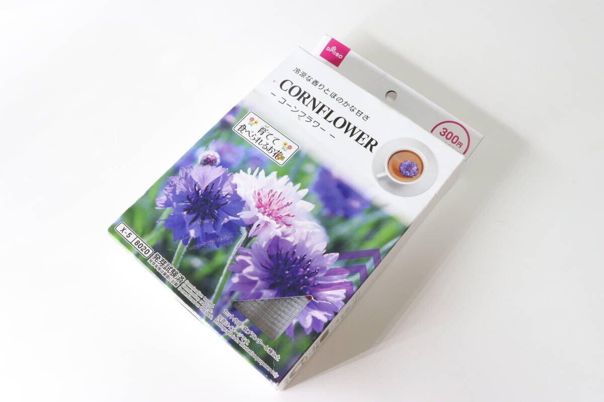 ダイソー　栽培セット