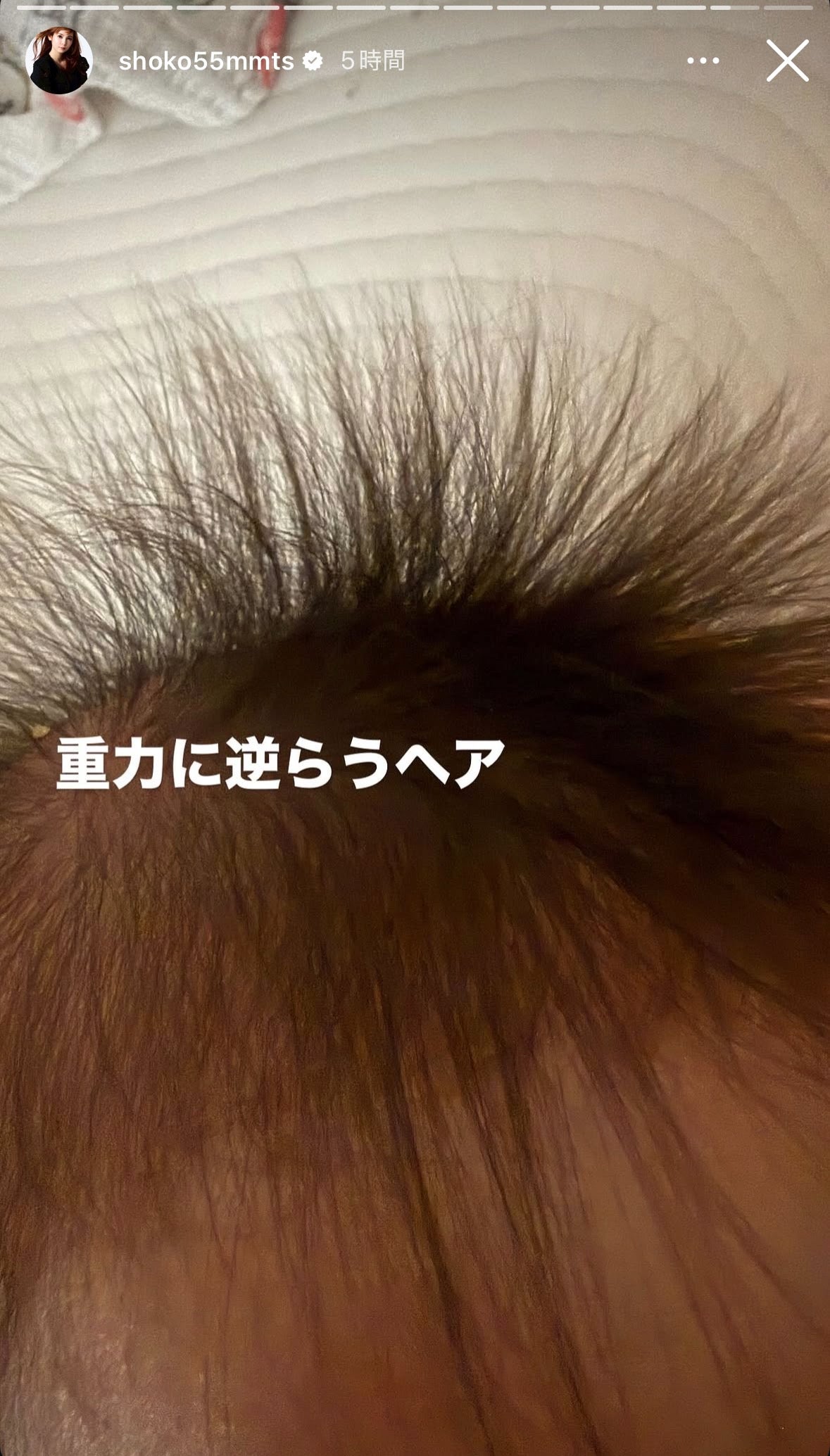 中川翔子Instagramストーリーズより